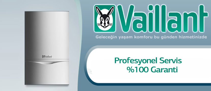 Çayyolu Vaillant Brülör Servisi 